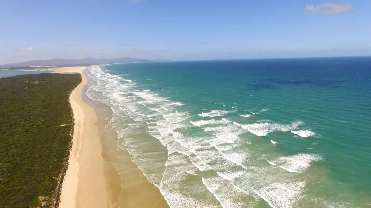 Aerial view of the long surf beach and dunes at Sandy Point