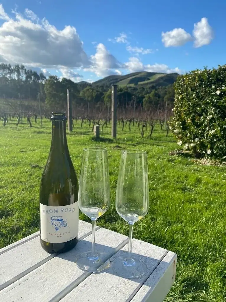 A bottle of wine and glasses among the vines at Waratah Hills